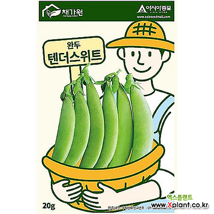 아시아종묘/콩씨앗종자 텐더스위트(20g) 완두콩