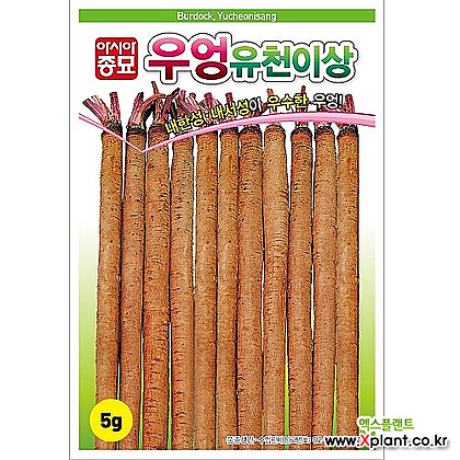 아시아종묘 우엉씨앗종자 뿌리우엉 유천이상(5g)