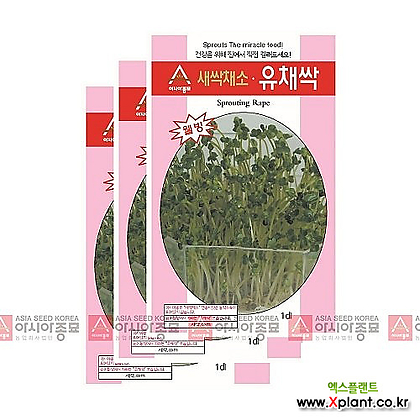 아시아종묘 채소씨앗 - 새싹씨앗 유채싹(30gx3) 새싹채소