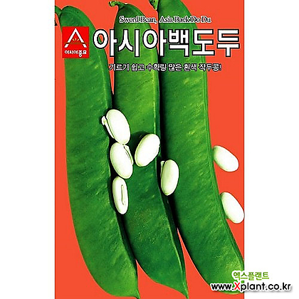 아시아종묘 작두콩씨앗 아시아 백도두 작두콩(50g)