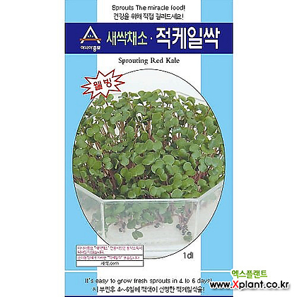 아시아종묘/새싹씨앗 적케일싹(30g) 새싹채소