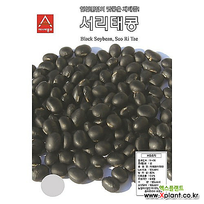 (아시아종묘/콩씨앗종자) 서리태콩-검은콩(1kg)