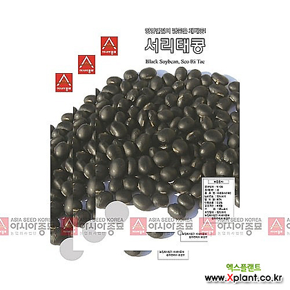 아시아종묘 채소씨앗 - 서리태콩-검은콩(50gx3)