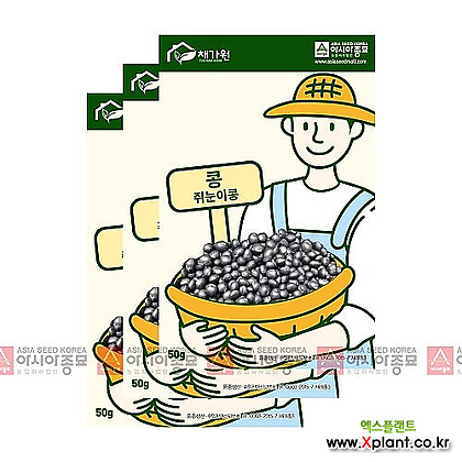 아시아종묘 채소씨앗 - 쥐눈이콩(50gx3)