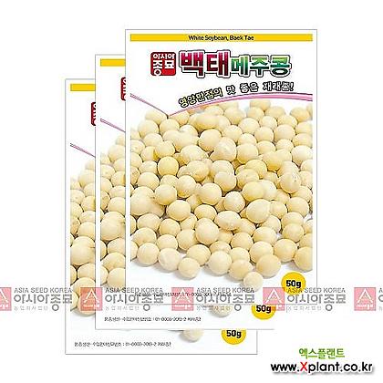 아시아종묘 채소씨앗 - 백태콩(메주콩)(50gx3)