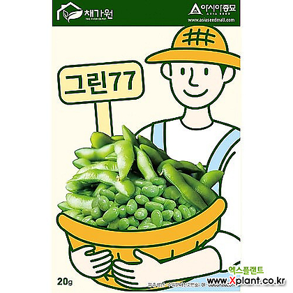 아시아종묘 콩종자씨앗 풋콩 그린77(20g) 에다마메 지두