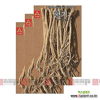 아시아종묘 채소씨앗 - 황기(3gx3)