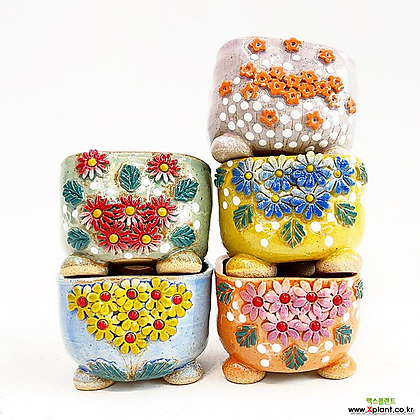 행복한꽃그릇 여주콩순이 국산 다육이화분 분갈이 시리즈