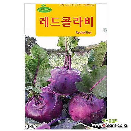 영농사 레드 콜라비씨앗/ 300립 적콜라비 순무 씨앗