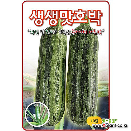 영농사 생생맛 쥬키니 호박씨앗 10립 (생식가능)