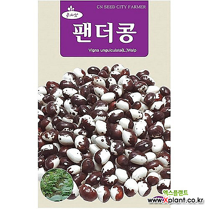 영농사 팬더콩씨앗 30g