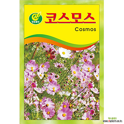 영농사 코스모스씨앗 꽃씨앗 500g/1kg 대용량