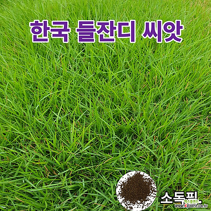 한국 잔디씨앗30g 잔디씨앗 잔디씨 산소 정원용 잔듸씨앗 잔디 들잔디 한국잔디씨