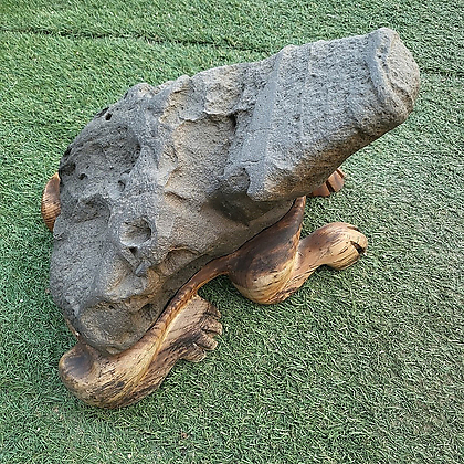 수석 복이들어오는 두꺼비형상 자연석 소장품