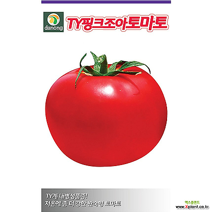 (DN)TY핑크조아 토마토씨앗 10립