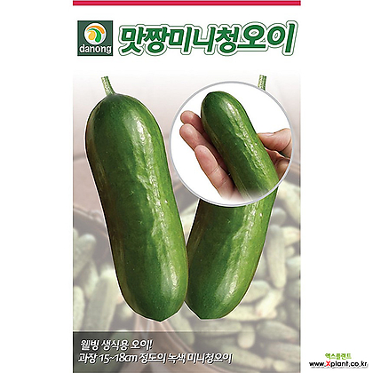 (DN)맛짱미니청오이 10립 디저트 간식오이씨앗