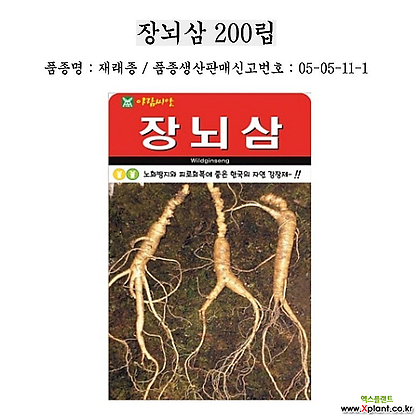 장뇌삼 씨앗 200립 노화방지 피로회복 한국 자연 강장제
