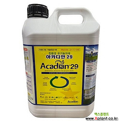 아카디안 29 5L 영양제 /영양제 추가증정