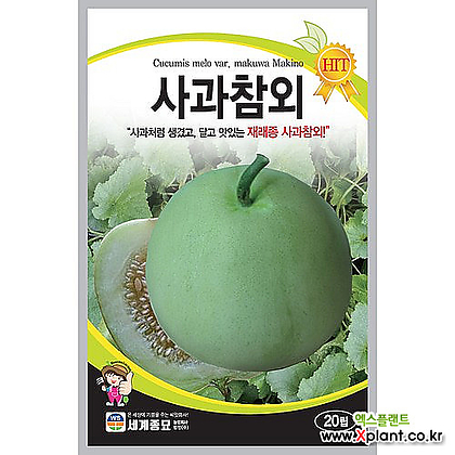 사과참외 20립 /세계종묘 애플참외씨앗