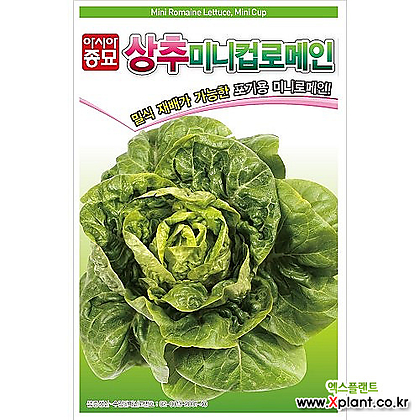 미니컵로메인 500립 / 아시아종묘 상추씨앗