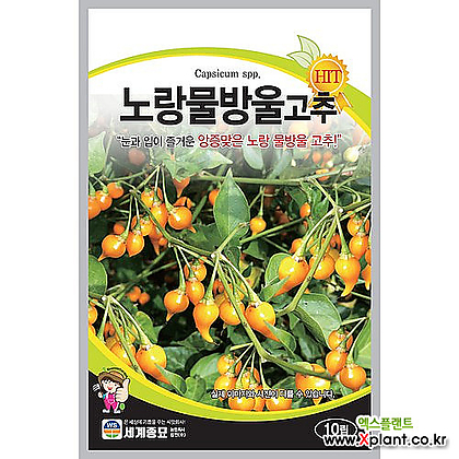 노랑물방울고추 10립 세계종묘 식용 및 관상용씨앗