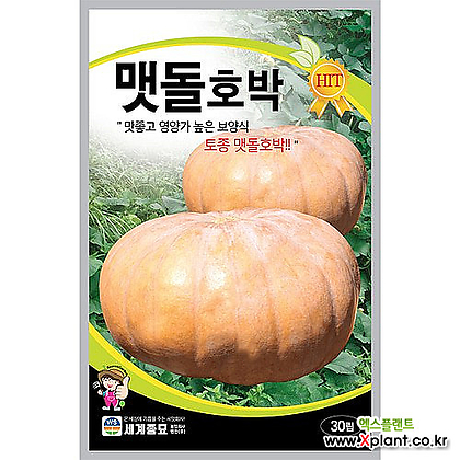 토종 맷돌호박 30립 /세계종묘 씨앗