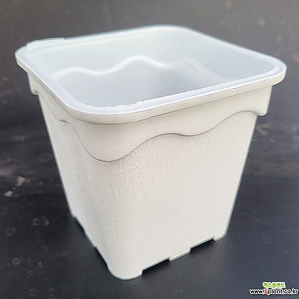 (HIGH) 플라스틱 화분 플분 흰색 3호 10+1 (plastic flower pot white 9cm)