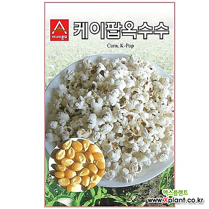 케이팝옥수수 (팝콘용옥수수) 20g 아시아종묘  씨앗