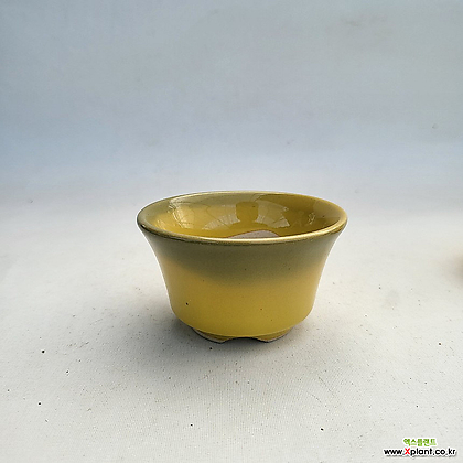 중고64)초소형 미니 콩분 노란색 유광 수제 화분